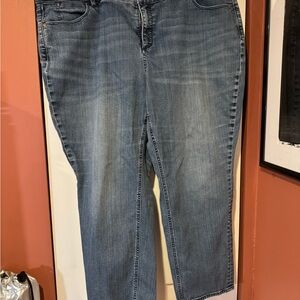 Talbots Women's Flawless Five-Pocket Straight Leg Jeans, Size 22WP